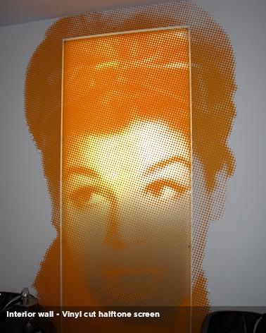 Vinyl Graphics